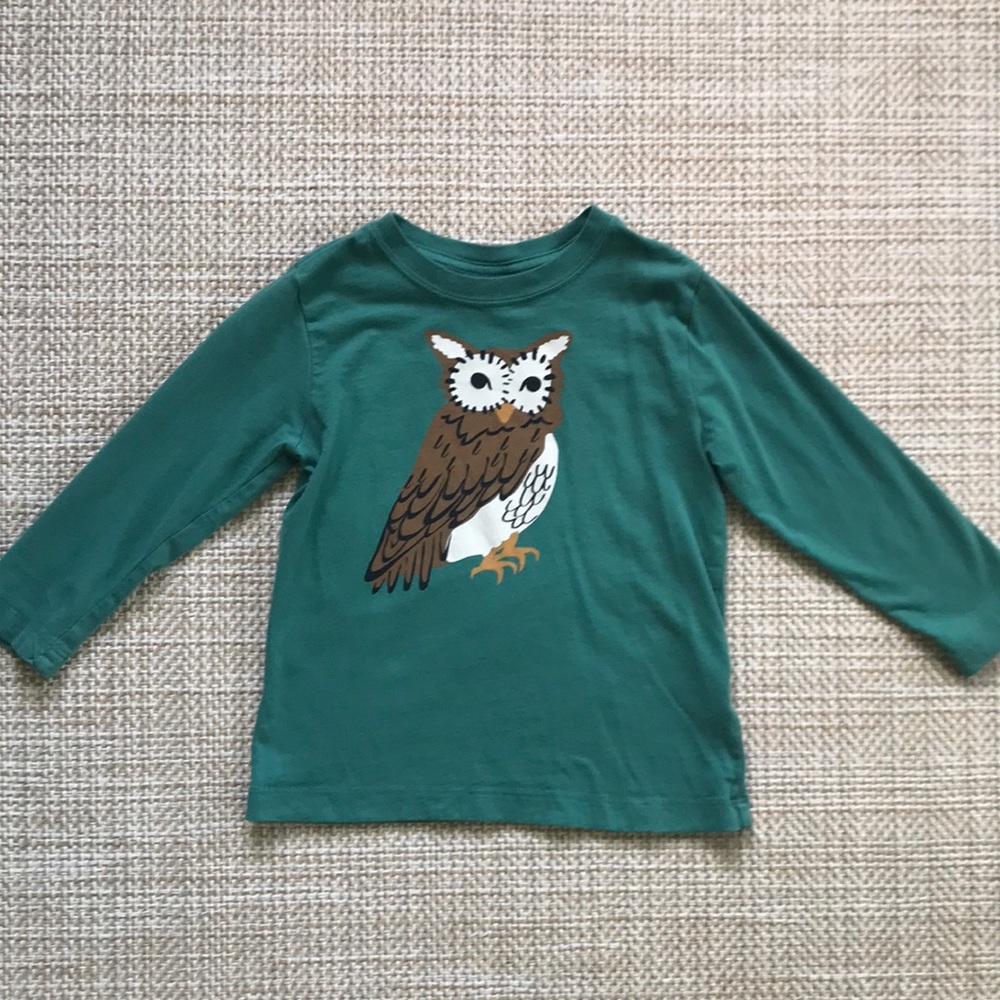 Hanna Andersson Shirt (size 100)